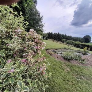 En have udenfor Le gîte Pierre et Bois