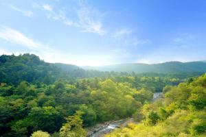 uma vista aérea de um rio numa floresta em Shelter Garden Nikko em Nikko