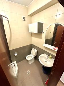 uma pequena casa de banho com WC e lavatório em Apartment Stex 3 em Podgorica