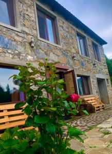 a stone house with a tree in front of it at River side SVANETI in Mestia