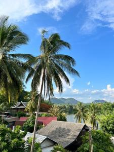 uma palmeira no meio de uma cidade em Namkhan Riverview Boutique House em Luang Prabang