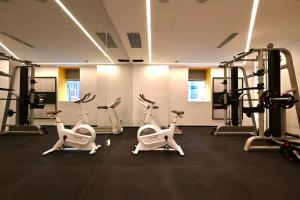 Dayin Hotel - East Nanjing Road & People's Square & The Bund tesisinde fitness merkezi ve/veya fitness olanakları