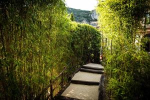 una pasarela a través de un seto con plantas en Le Belvedere, en Vallon-Pont-dʼArc