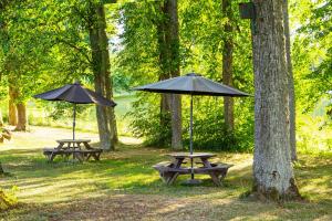 two picnic tables with umbrellas in a park at Burbiskio dvaras in Anykščiai