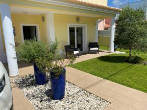 deux vases bleus avec des plantes devant une maison dans l'établissement Zion guest house, à Almada