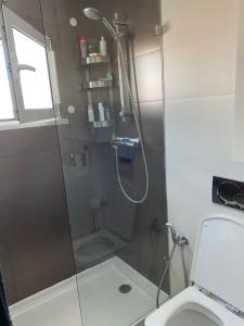 La salle de bains est pourvue d'une douche et de toilettes. dans l'établissement Zion guest house, à Almada