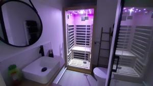 圣普列斯特Arty Appart - Sauna en option, Parking box privé, Balcon的一间带水槽和镜子的小浴室