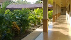 een gang van een gebouw met bomen en planten bij Hotel D'Lucia - Quebrada Ganado, Jaco, Costa Rica in Puntarenas