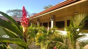 een rode bloem voor een huis bij Hotel D'Lucia - Quebrada Ganado, Jaco, Costa Rica in Puntarenas