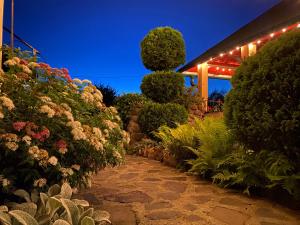 um jardim à noite com flores e luzes em Casa Moldovan ( Coltisorul meu de rai) em Ocna Şugatag