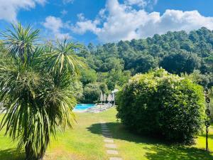 un jardín con 2 palmeras y una piscina en Hotel Monti, en Lamporecchio