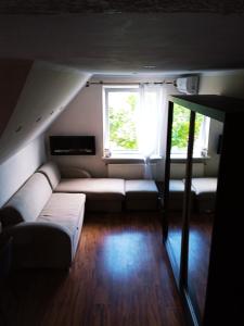 salon z kanapą i oknem w obiekcie Apartament Mazurska 24a w mieście Kętrzyn