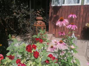 un grupo de flores frente a una casa en Stary Dom, en Augustów