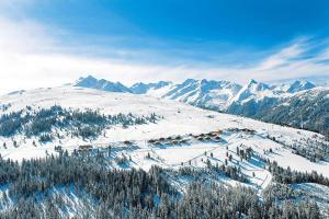 una vista aérea de una montaña nevada con casas y árboles en Chalet, Hochkrimml, en Krimml