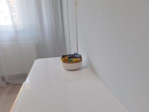 een plant op een witte tafel in een kamer bij Riverside 1 in Timişoara