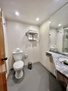 a bathroom with a white toilet and a sink at Best Western Marina del Rey in Viña del Mar