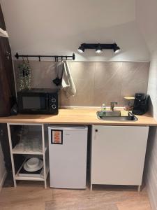 een keuken met een aanrecht met een wastafel en een magnetron bij Le Petit Port - La Belle Etoile in Sedan