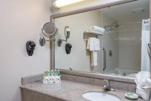 a bathroom with a sink and a large mirror at Holiday Inn Express & Suites Santa Clara - Silicon Valley, an IHG Hotel in Santa Clara