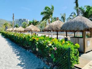 una fila di ombrelloni e piante di paglia su una spiaggia di Samaria Club de Playa - Pozos Colorados - By INMOBILIARIA VS a Santa Marta