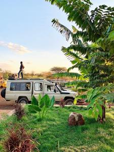 Vrt pred nastanitvijo Jua Manyara Lodge & Camp Site