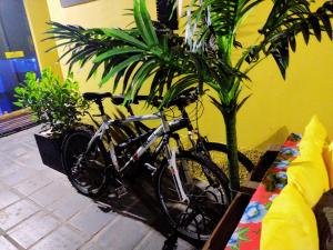 ein Fahrrad wird neben einer Pflanze geparkt in der Unterkunft Nomad - Norte Sul, Cambui in Campinas