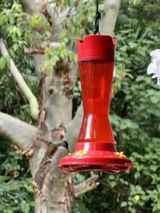 un nourricier d'oiseaux rouges suspendu à un arbre dans l'établissement Eco Suites Uxlabil Guatemala, à Guatemala