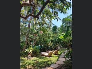 a garden with a bench and trees and grass at Villa Jati Mangsit in Senggigi 