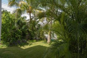 Um jardim em Villa Caribe