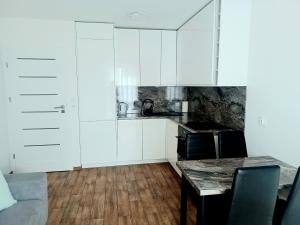 Majoituspaikan AJP Apartament Szczecin Dąbie keittiö tai keittotila