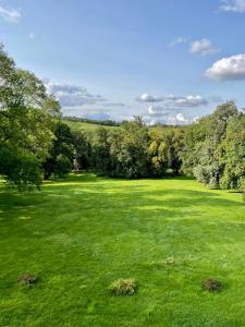 a large green field with trees in the background at Château de Belleaucourt 