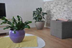 dois vasos de plantas sentados numa mesa numa sala de estar em Apartman Mirna em Rovinj