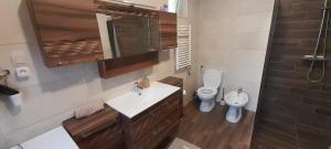 uma casa de banho com um lavatório e um WC em Gyöngyvirág apartman delux em Keszthely