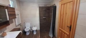 uma casa de banho com um chuveiro, um WC e um lavatório. em Gyöngyvirág apartman delux em Keszthely