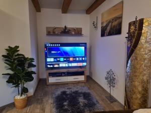 un soggiorno con una grande TV a schermo piatto di Martin´s Ferienwohnung a Furth im Wald