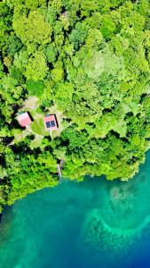 eine Luftansicht eines Hauses inmitten eines Sees in der Unterkunft The Birds Nest in Bocas del Toro