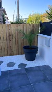 una pianta in vaso seduta su un patio accanto a una recinzione di Maison jardin paisible 1 chambre a Mérignac