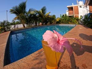 una flor en un jarrón junto a una piscina en Wow Farm House, en Auroville