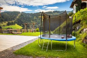 um pequeno trampolim na relva com uma colina em Brennergut Ferienwohnung am Bauernhof em Mühlbach am Hochkönig