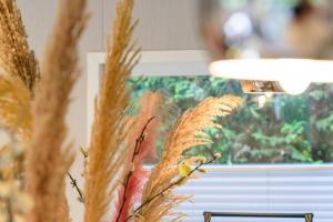 a close up of some tall wheat plants at Heerlijk Huisje Hoenderloo in Hoenderloo