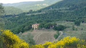 a house in the middle of a field in the hills at Agriturismo Fattoria Poggio Boalaio in Orvieto