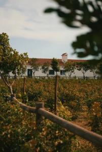 Naktsmītnes Monte de Palma- Quinta Biodinâmica Momentos Únicos pilsētā Evora fotogalerijas attēls