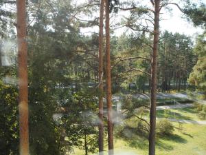 Sodas prie apgyvendinimo įstaigos Sunny apartment with lake and forest view