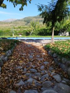 a path with leaves on the ground next to a pool at Complejo Rural Las Palomas in Jerte