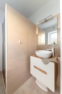 bagno con lavandino e specchio di Apartments Grahek a Lubiana