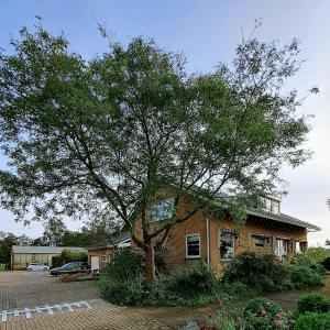 Gedung tempat homestay berlokasi