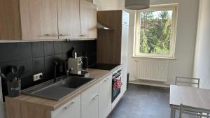 uma cozinha com um lavatório e um balcão com uma janela em Bitterfelder Cityapartment im Dichterviertel em Bitterfeld