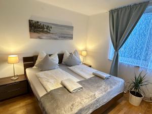 1 dormitorio con cama y ventana en Green Paradise & Cozy Retreat Salzburg with free parking, en Salzburgo