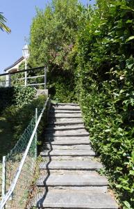 Galeri foto Villa Ani di Ascona