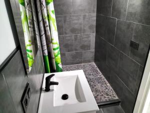 ein Bad mit einem Waschbecken und einer Dusche in der Unterkunft VV Las Buganvillas MASPALOMAS - Cocina y habitaciones con baños privados in Maspalomas