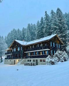 un grande edificio nella neve con alberi innevati di Eiger View Alpine Lodge a Grindelwald